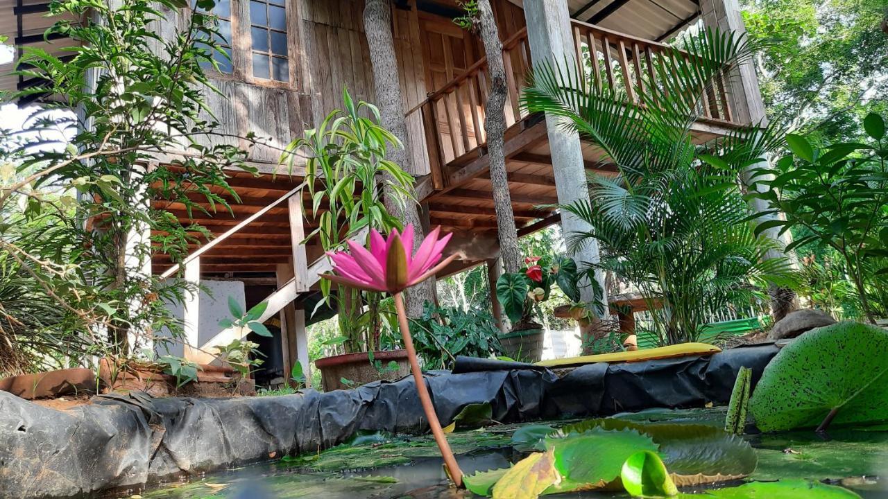 סיגירייה Ruk Sewana Villa Tree House מראה חיצוני תמונה