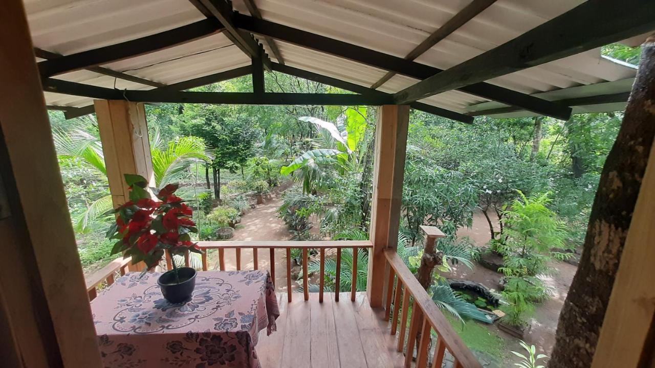 סיגירייה Ruk Sewana Villa Tree House מראה חיצוני תמונה