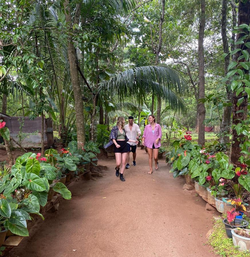 סיגירייה Ruk Sewana Villa Tree House מראה חיצוני תמונה